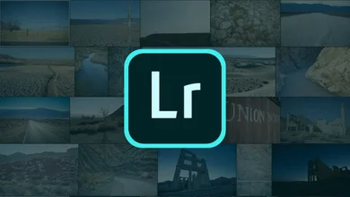 Phiên bản cập nhật Lightroom 2025 với AI thông minh và hiệu suất vượt trội